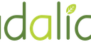 Logo-Adalia-1-1024x315.png