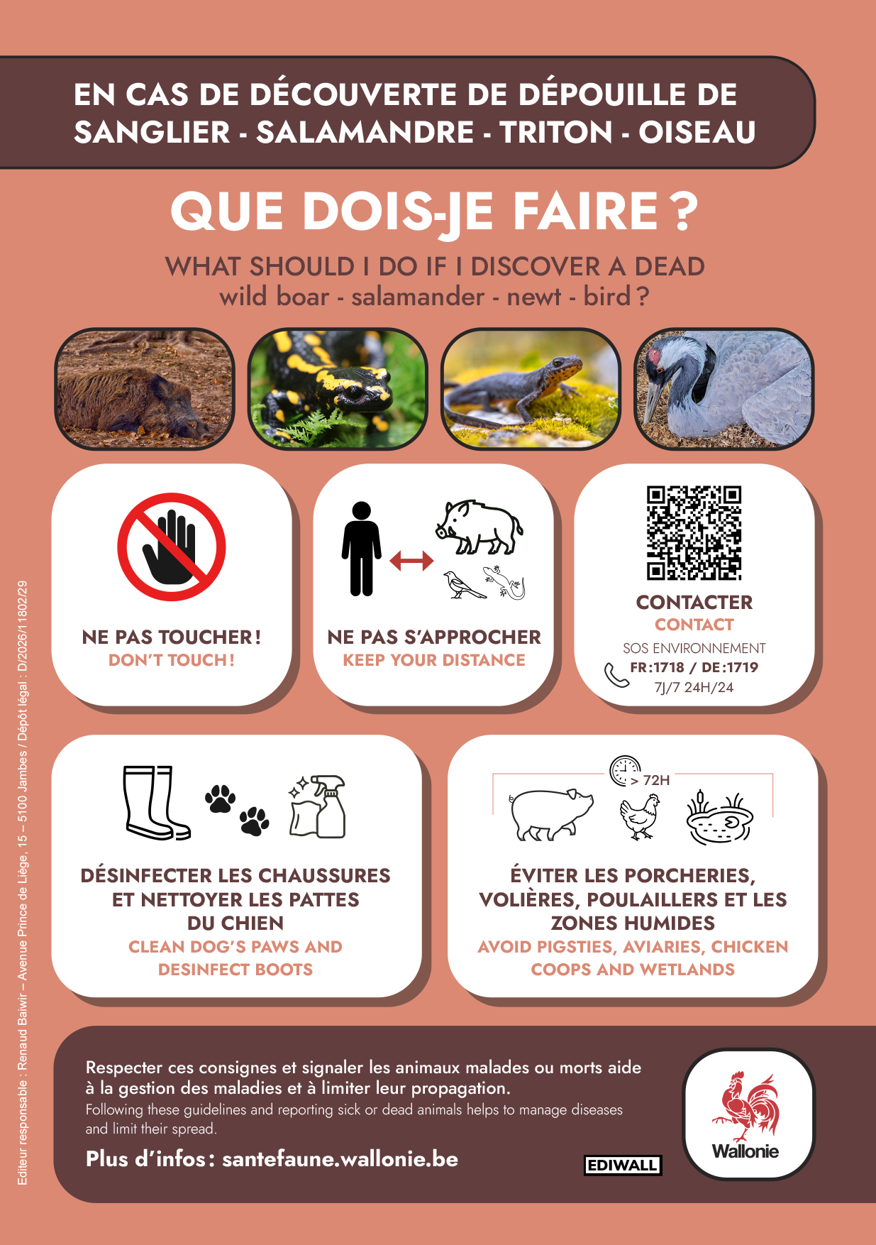 Affiche FR.jpg Affiche FR.jpg